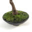 63.5cm Faux Bonsai Plant in Pot Liner