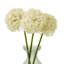 Arrangement-128130317-128130314