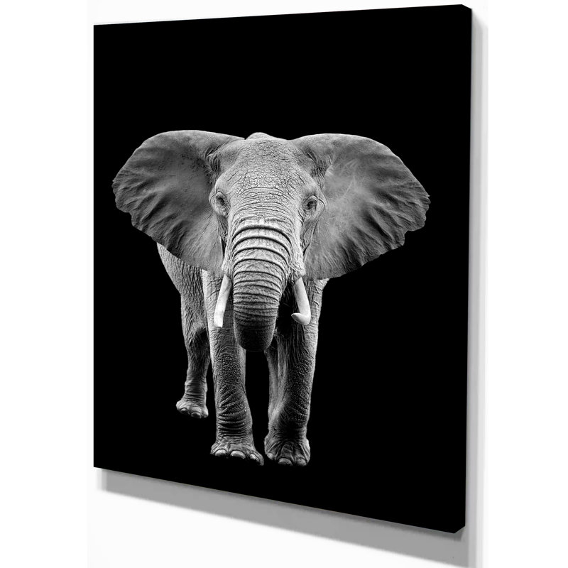 «Elephant on Dark», impression sur toile tendue, H 40 po x l 30 po x P 1,5 po