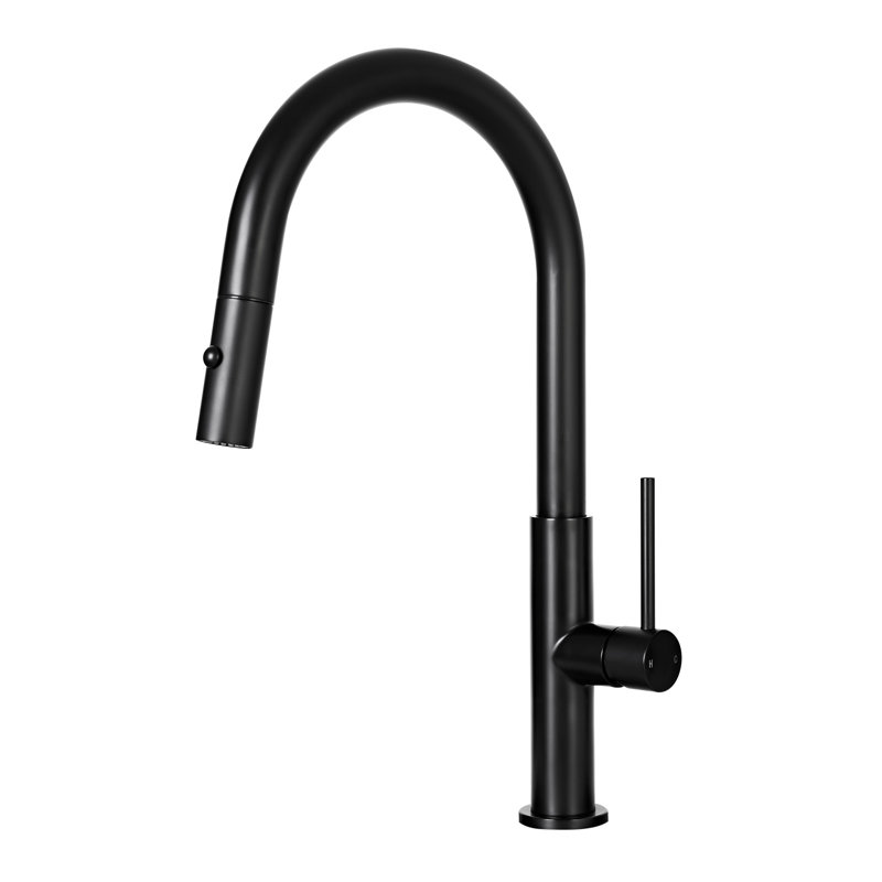 Robinet de cuisine avec douchette rétractable, robinets d'évier de cuisine à un trou, acier inoxydable 304, robinet à double fonction pour évier de ferme, noir