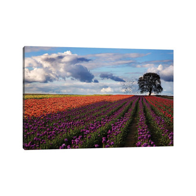 Tulip Festival - Print on Canvas