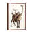 Classic Wood Framed selected