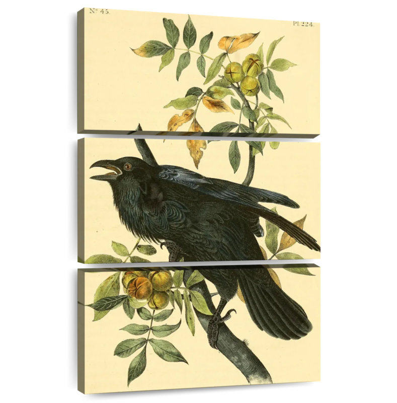 Corbeau d'oiseaux d'Amérique, H 65 po x l 42 po