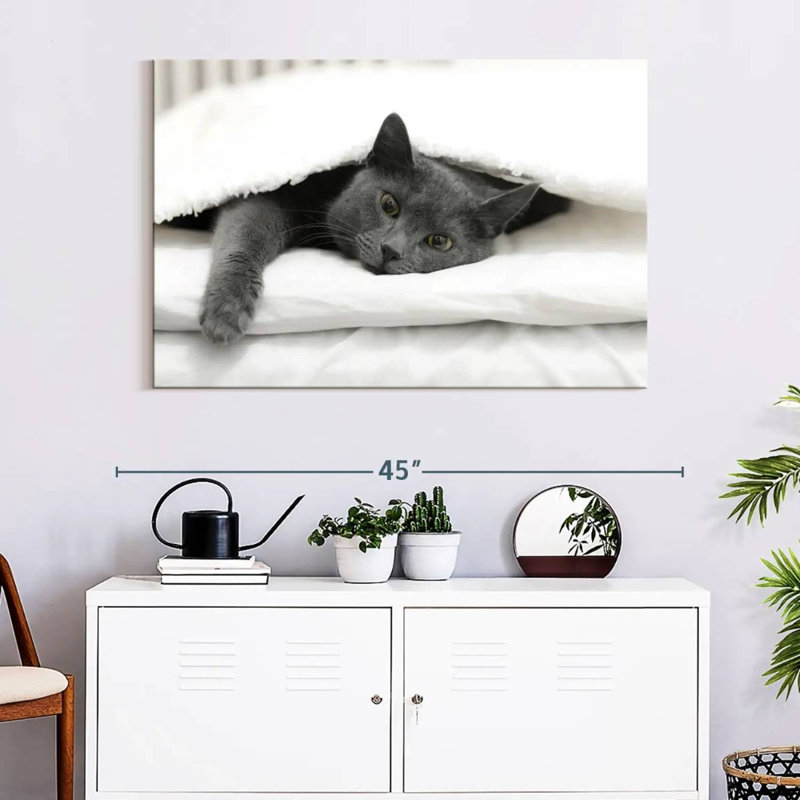 Brampt Lazy Cat, 26" H x 39" W