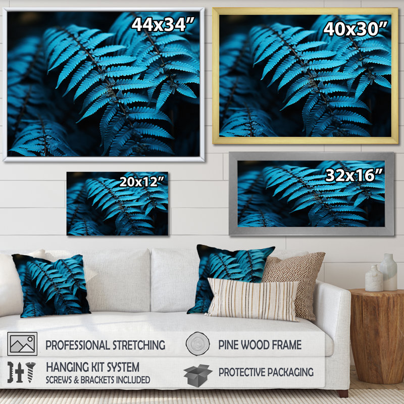 Ferns Turquoise Whimsy I - imprimé, H 16 po x l 32 po x P 1 po, Cadre flottant noir
