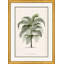Palms Framed Print by Isabelle De Borchgrave