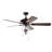 Osiris 52'' Ceiling Fan with Light Kit