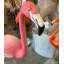 Statue debout de flamant debout