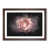 Walnut Framed selected