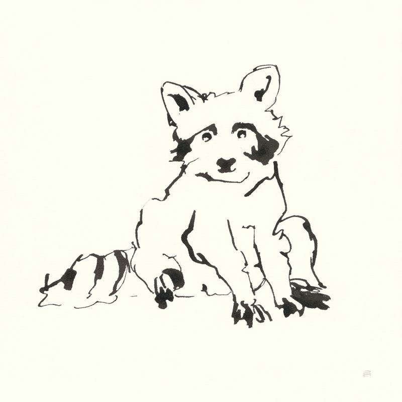 " Line Raccoon " by Chris Paschke, 30" H x 30" W, Walnut Floater Framed, No