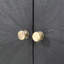 Armoire 31,5 x 16,5 x 60 po