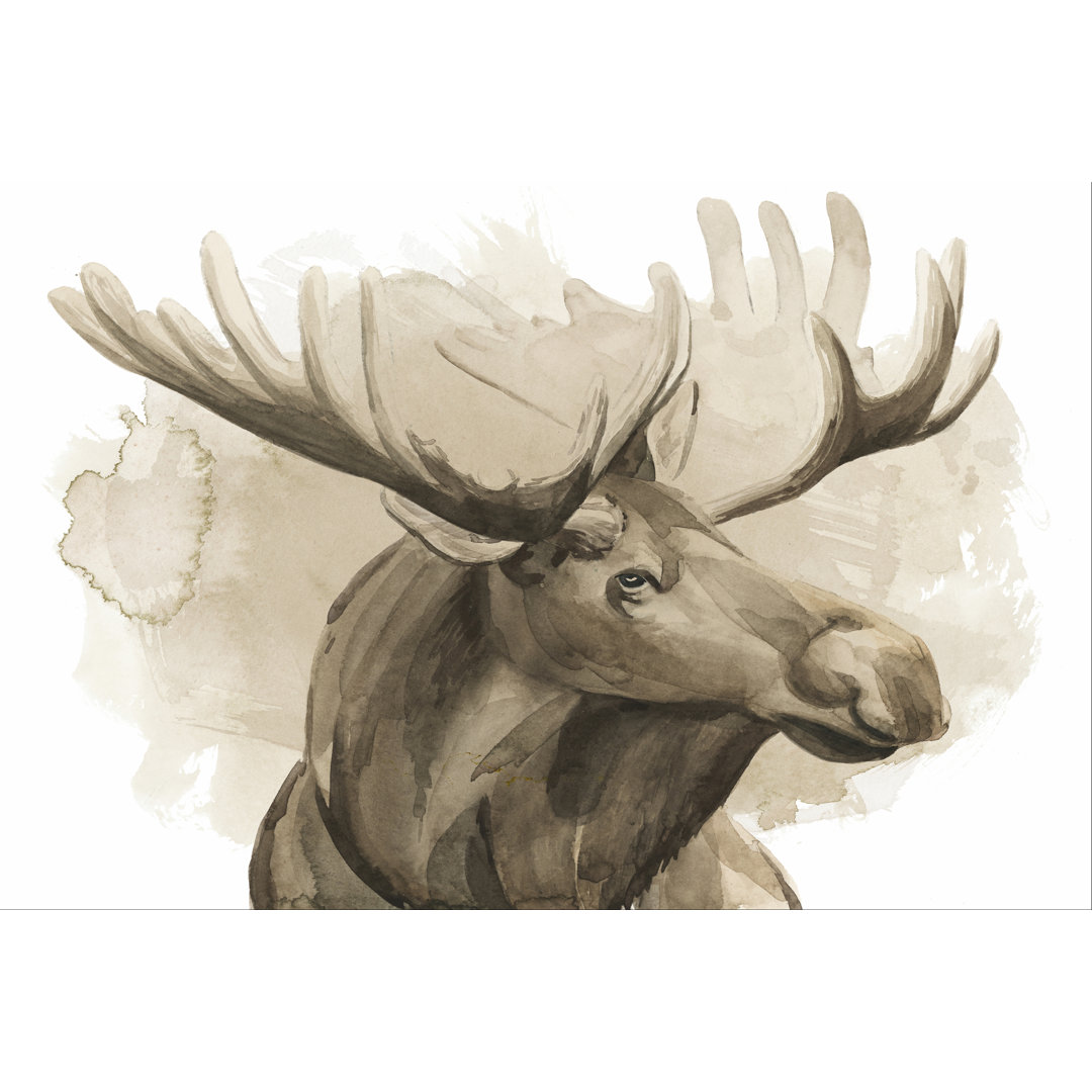 Leinwandbild Bull Moose I von Grace Popp