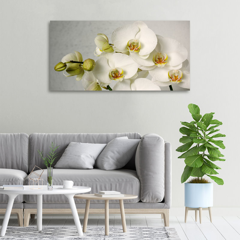 White Orchid - Wrapped Canvas Print, Canvas, 50cm H x 100cm W 
