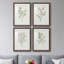 Simple Sprig I - ensemble de 4 reproductions de cadres photo-2075732642-2075732647