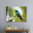 A Sparkling Violetear on a Branch-1510585881