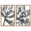 Close Up Set Set by Oliver Gal-99612323-99612325