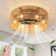 Socher 19'' Boho Rattan Caged Ceiling Fan with Light Kit and Remote