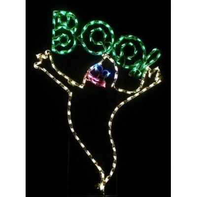 Boo Ghost Halloween Holiday Lighted Display
