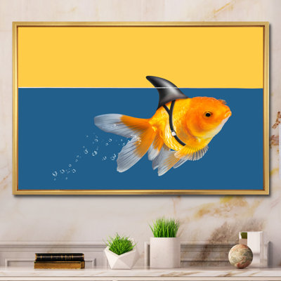 " Goldfish Shark Swimming "