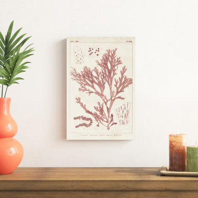 «Antique Coral Seaweed I», peinture sur toile