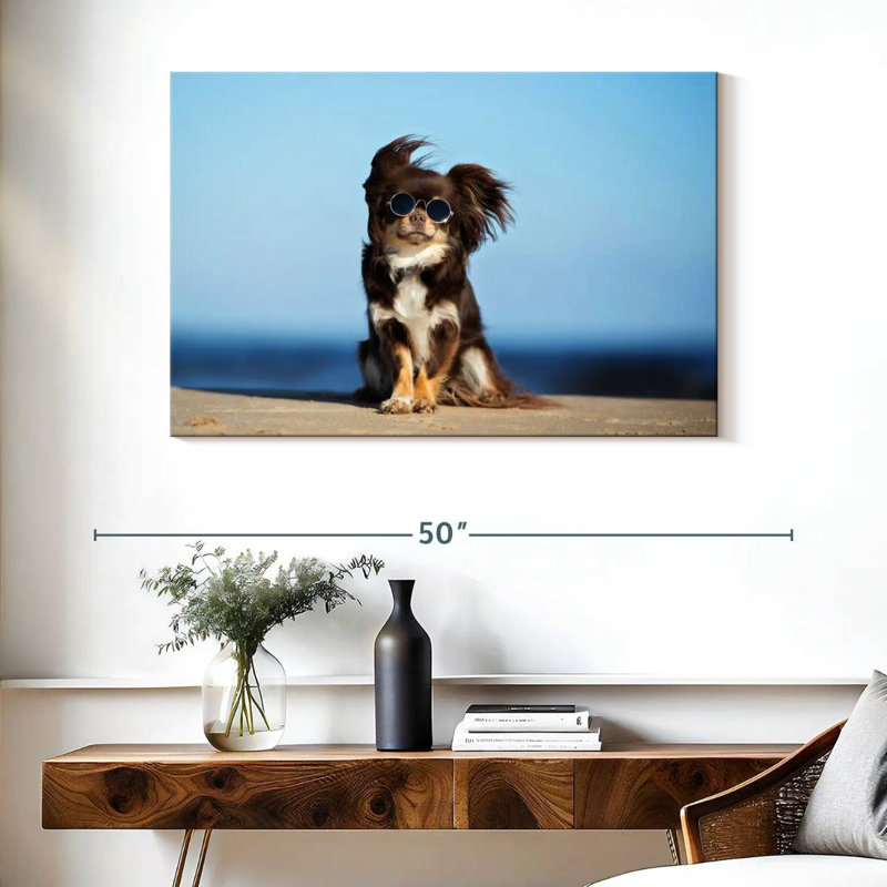 Chihuahua Brampt, H 26 po x l 39 po