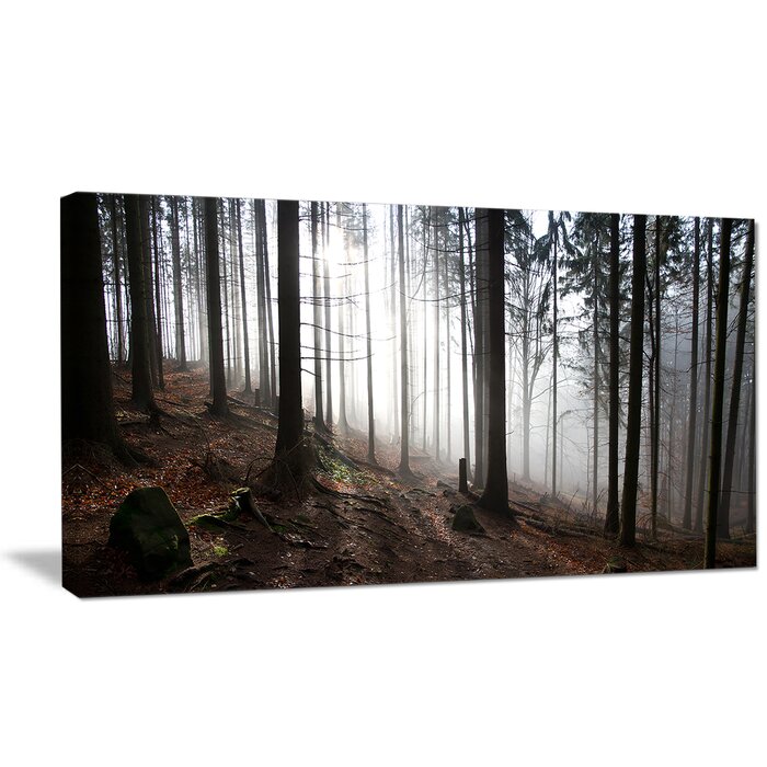 DesignArt Misty Forest Morning Panorama On Canvas Print | Wayfair