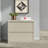 36'' Wide 2 -Drawer Steel File Cabinet-63359951