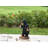 Gnomes in Trouble with Bear Garden Statue