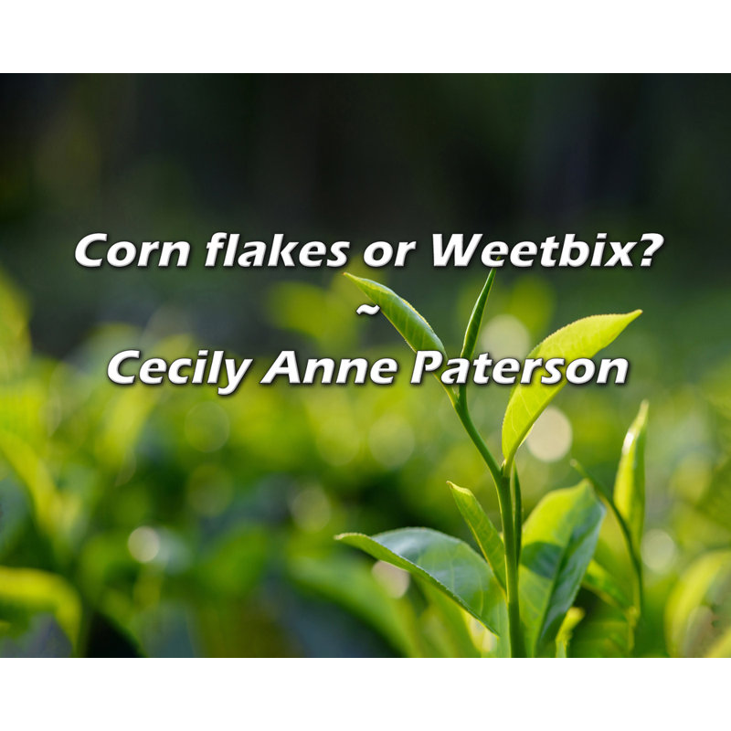 Citation artistique «Corn flakes or Weetbix?» Toile tendue par Cecily Anne Paterson, H 18 po x l 13 po