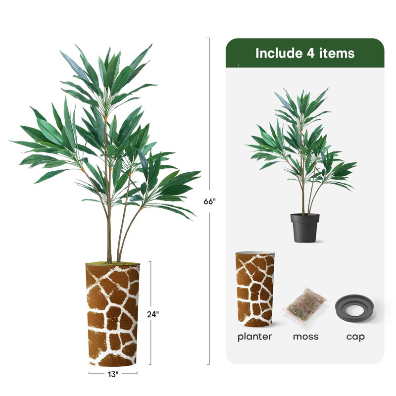 66 plantes, Brun