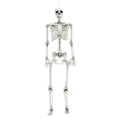 Halloween Figurines & Collectibles