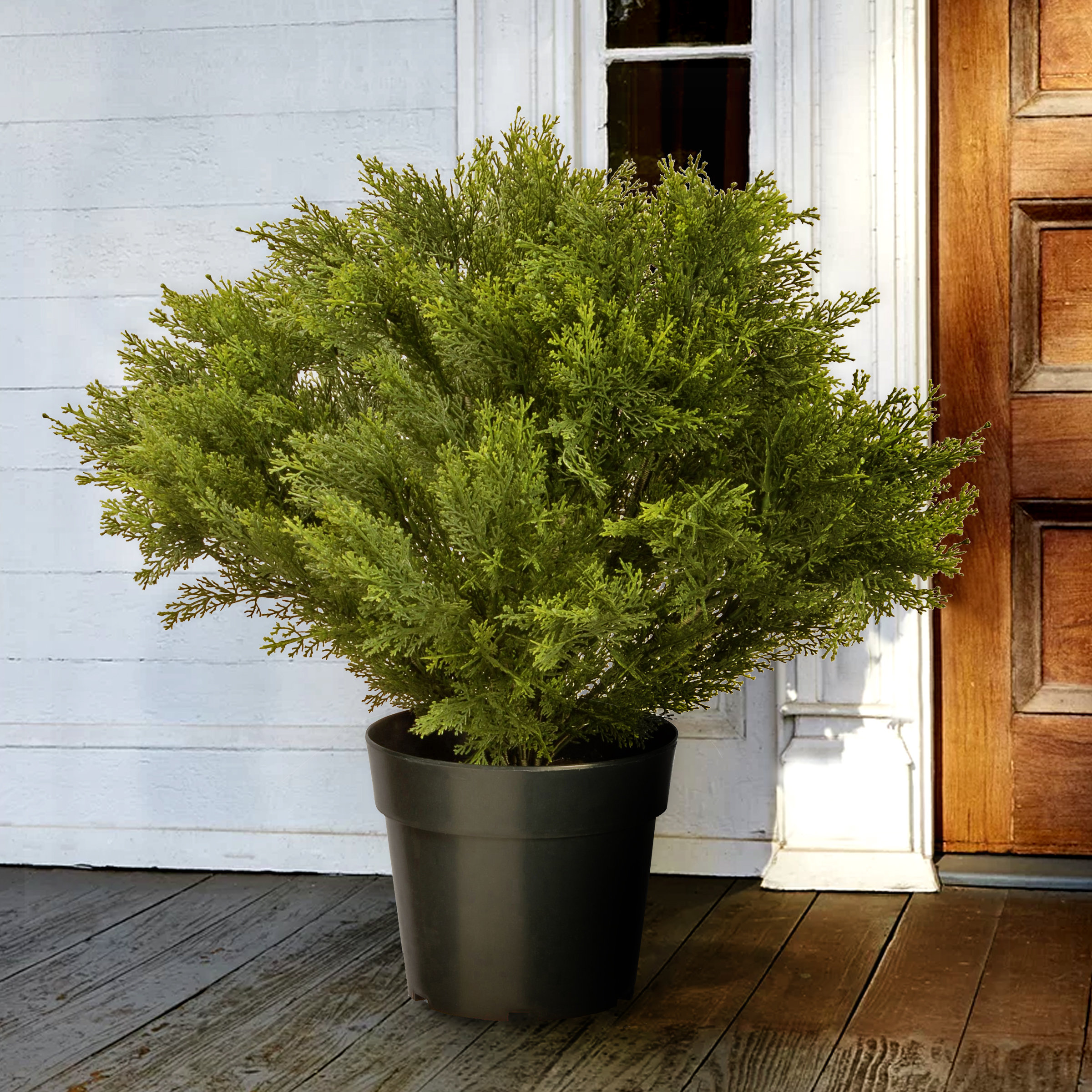 National Tree Company Globe Cedar Tree & Reviews | Wayfair