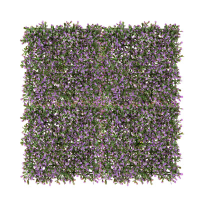 2 ft. H x 2 ft. W Polyethylene Privacy Screen by Naturae Decor