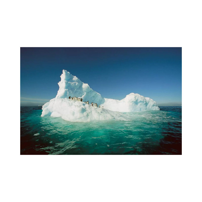 Adelie Penguin Group Riding Sculpted Iceberg, Terre Adelie Land, East Antarctica by Colin Monteath - Wrapped Canvas Print