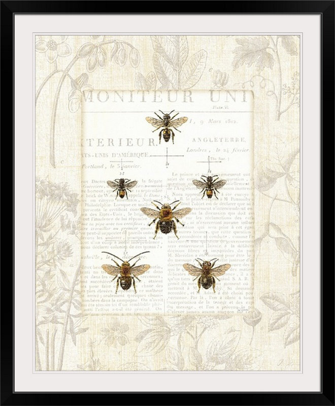 « abeille botanique » par sue schlabach, impression, Cadre noir, H 23 po x l 20 po x P 1 po