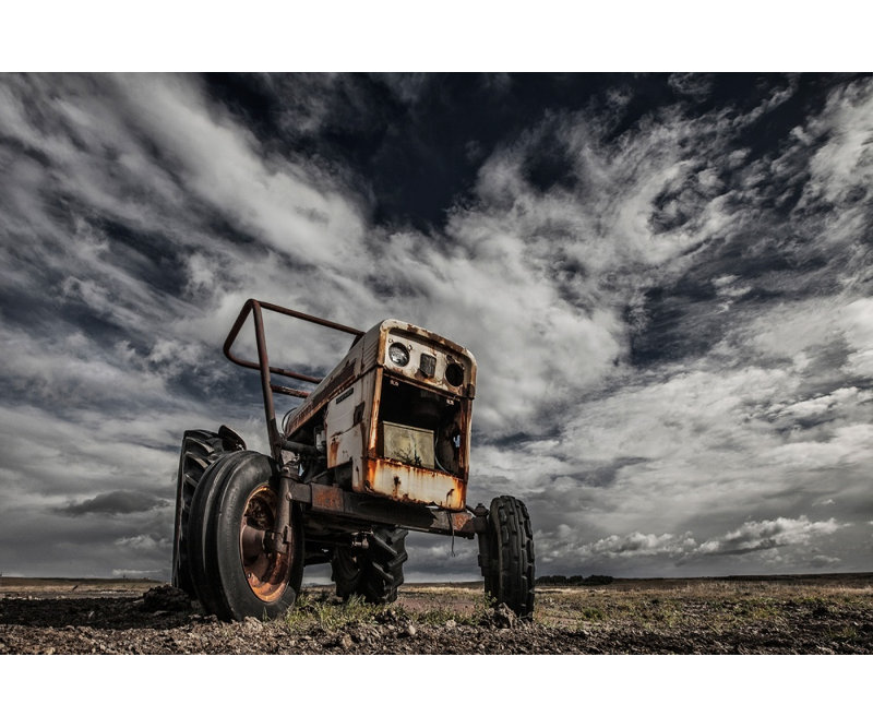 Wrapped Canvas Print, 76.2 cm H x 50.8 cm W