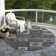 Machine Washable Indoor/Outdoor Cicel ACN1142 Black Rug