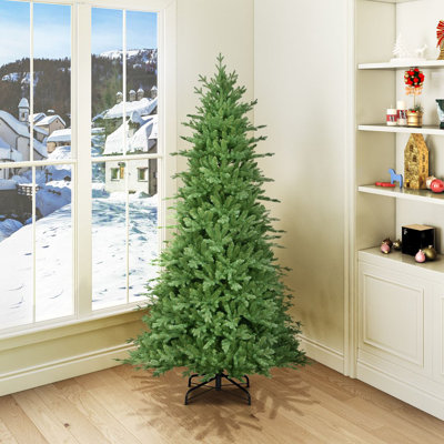 Buckinghamn Spruce 6ft Tree