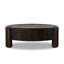 Toman Coffee Table-1872680289