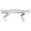 Ascoli 2 - Light Spotlight-1991895490