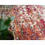 Oriental Area Rug-67714114