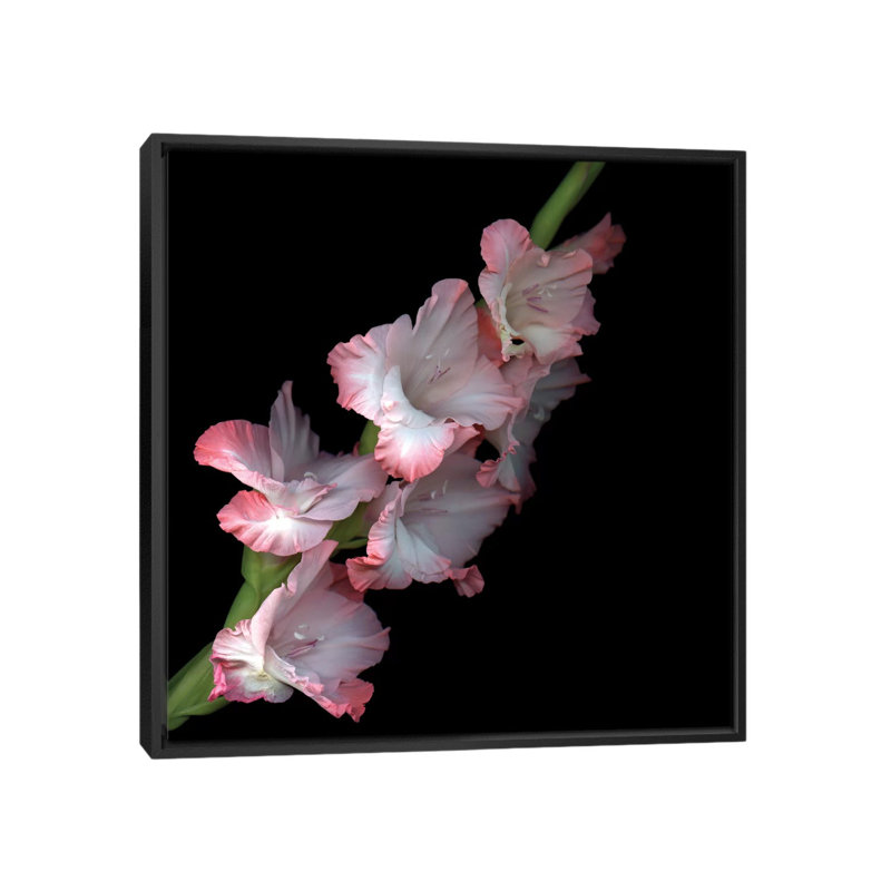 Modern & Contemporary, 26" H x 26" W x 1.5" D, Black Framed Canvas, No Mat