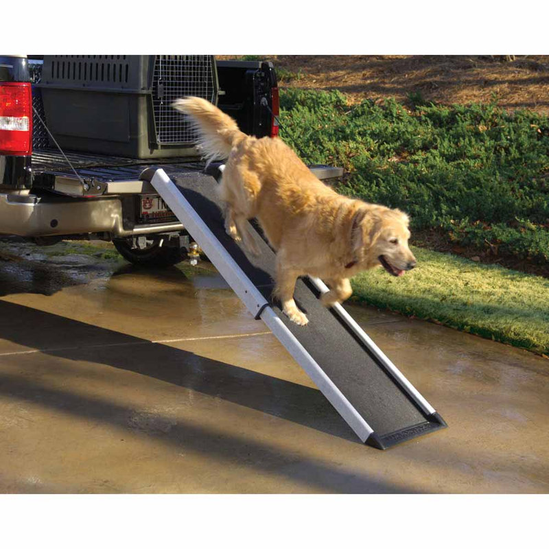 Rampe intelligente 17" pour animaux Kingon