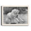 «All for Show», reproduction de photo sur toile encadrée-1336763032-1336763014