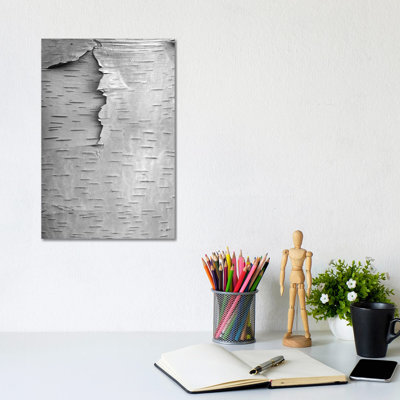 Birch Close Up Of Tree Trunk, North America by Tim Fitzharris - No Frame Gallery-Wrapped Canvas Giclée on Canvas