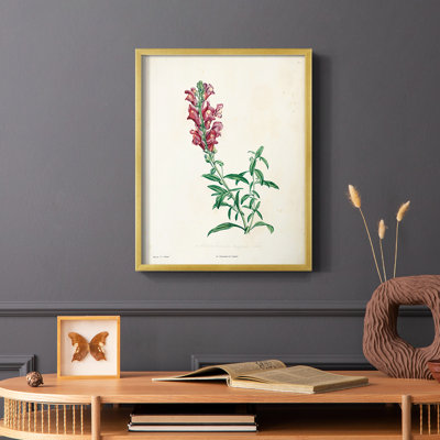 «Traditional Botanical I», reproduction encadrée - bois massif