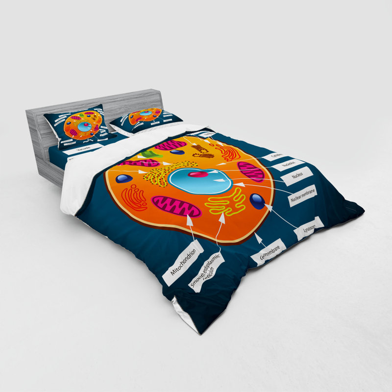 Ensemble de housse de couette éducatif, Housse de couette grand + 3 pièces supplémentair