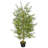 Faux Cypress Tree in Wood Pot-135737958