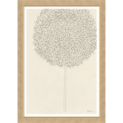 Allium I Print by Susan Hable
