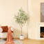 Adagio faux ficus avec pot de fleurs ovale blanc-281288361